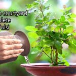 तुलसी के बिना अधूरा है भारतीय आंगन, जानिए वैज्ञानिक और धार्मिक कारण