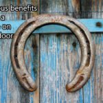 मुख्य द्वार पर घोड़े की नाल लगाने के 5 चमत्कारी फायदे-घर में सुख, समृद्धि और नकारात्मक ऊर्जा से सुरक्षा