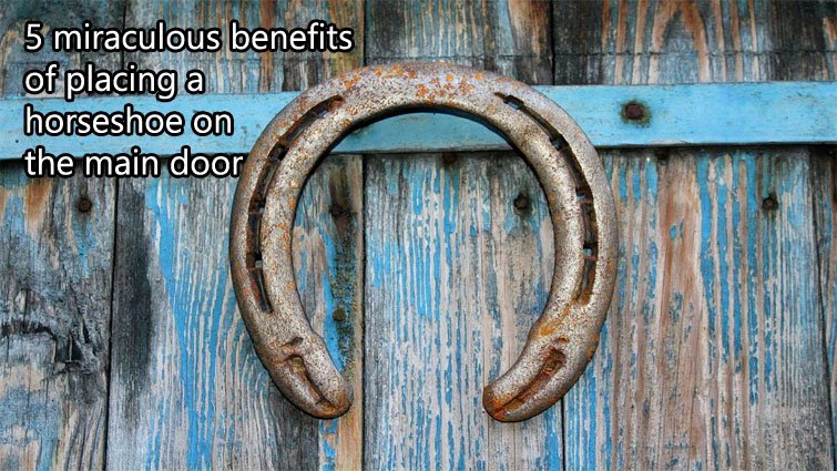 मुख्य द्वार पर घोड़े की नाल लगाने के 5 चमत्कारी फायदे-घर में सुख, समृद्धि और नकारात्मक ऊर्जा से सुरक्षा