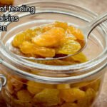 भीगी किशमिश के फायदे: गर्मियों में बच्चों को रोज सुबह खिलाएं, मिलेंगे 6 जबरदस्त लाभ