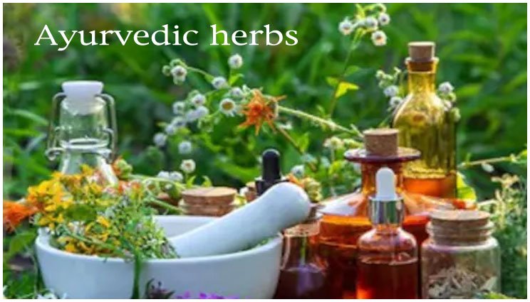 Ayurvedic sex power herbs: यौन शक्ति बढ़ाने वाली आयुर्वेदिक जड़ी-बूटियों के जानें फायदे और सेवन विधि
