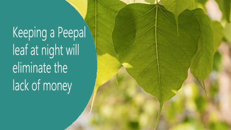 रात में पीपल का पत्ता रखने से दूर होगी धन की कमी-जानिए फायदे और विधि