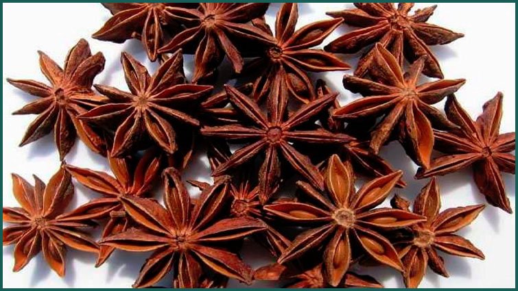 Star Anise: चक्र फूल सेहत, त्वचा और बालों के लिए कितना फायदेमंद