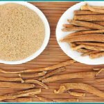 White musli for sexual health: क्या सफेद मूसली दूर कर सकती है पुरुषों की यौन समस्याएं? जानिए इसके फायदे