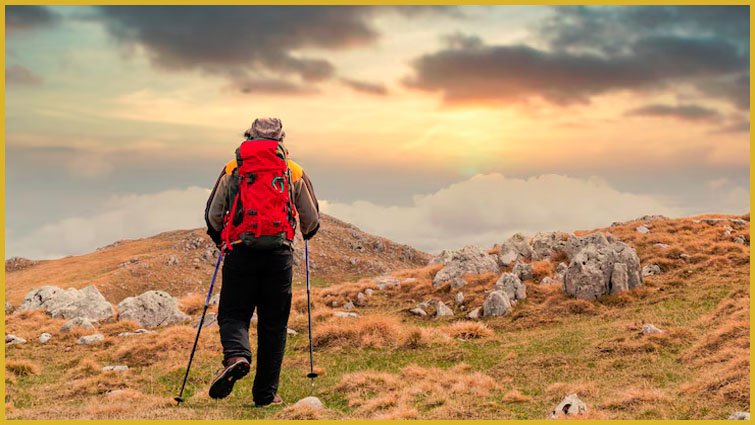 Lightweight and waterproof luggage