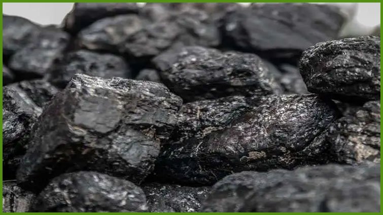 पुरुषों के लिए शिलाजीत क्यों खास है? विशेषज्ञ की राय