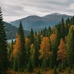 नार्वे के जंगल: यूरोप की जैव विविधता का हरित स्तंभ