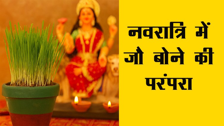 नवरात्रि में जौ अंकुरण से कैसे आती है घर में समृद्धि