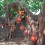 पीपल के पेड़ पर मटका लटकाने की परंपरा का आध्यात्मिक रहस्य