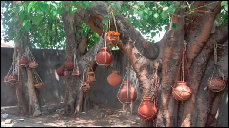 पीपल के पेड़ पर मटका लटकाने की परंपरा का आध्यात्मिक रहस्य