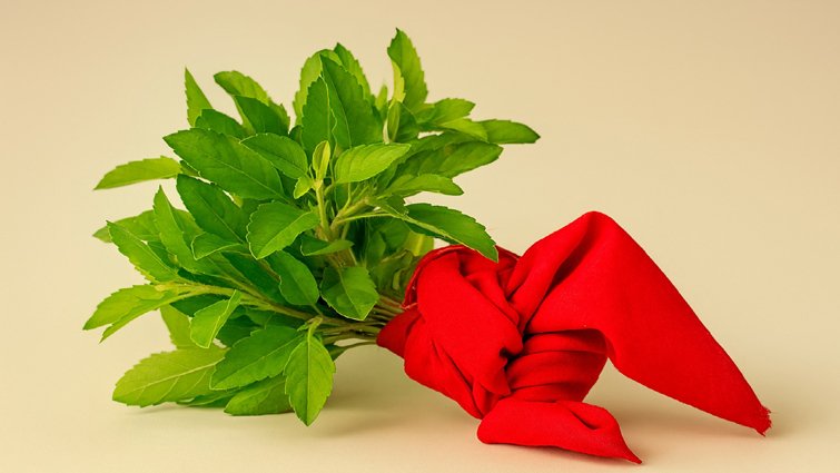 नवरात्रि में धन वृद्धि के लिए तुलसी और लाल कपड़े का चमत्कारी उपाय