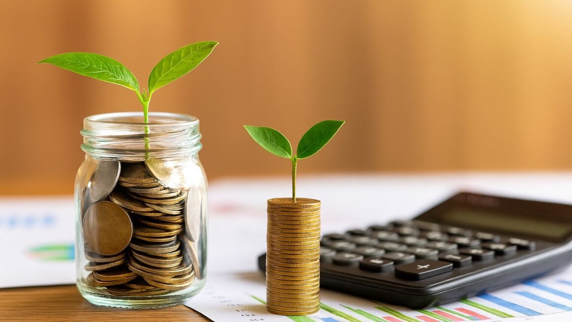 निवेश को महंगाई से कैसे बचाएं: एक्सपर्ट्स की राय