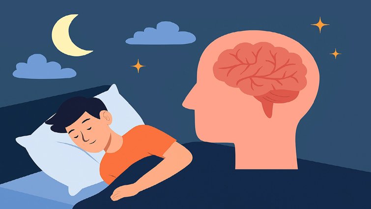 नींद क्यों है जरूरी: स्लीप साइकल और मानसिक स्वास्थ्य का संबंध