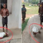 Odisha News