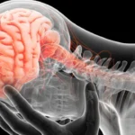 Cervical Pain and Brain