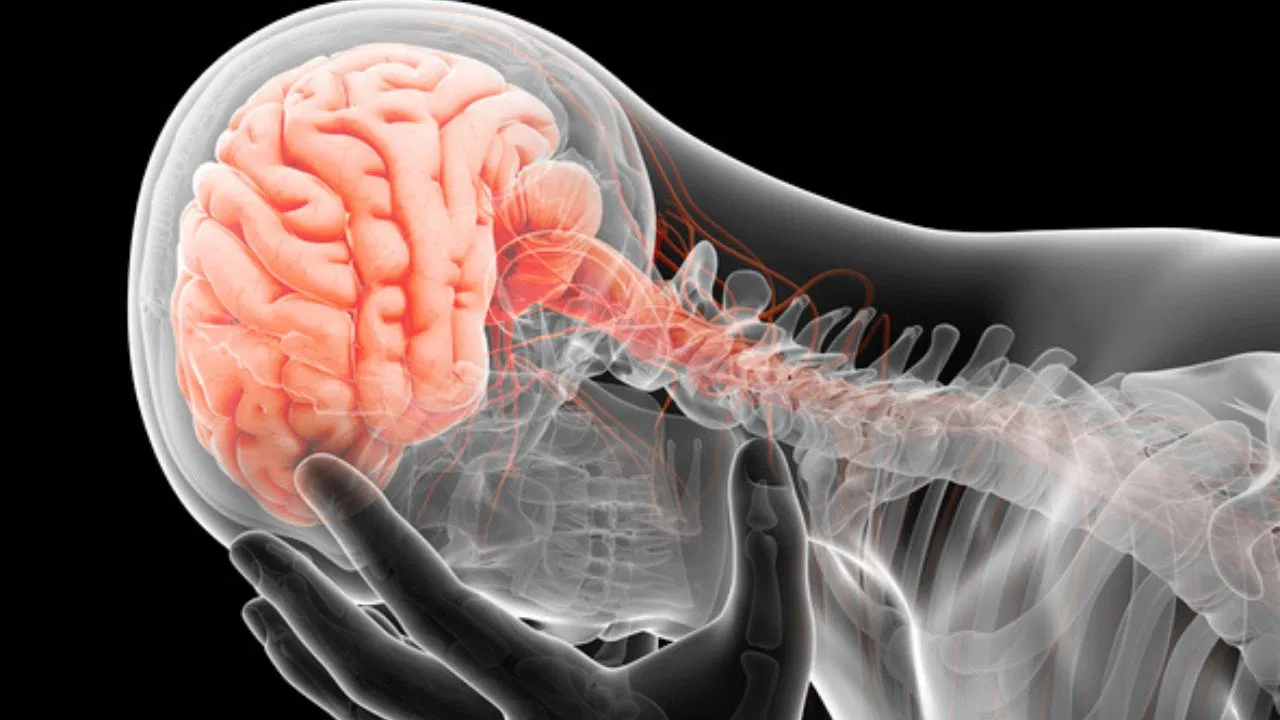 Cervical Pain and Brain