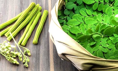 Benefits of Moringa :
