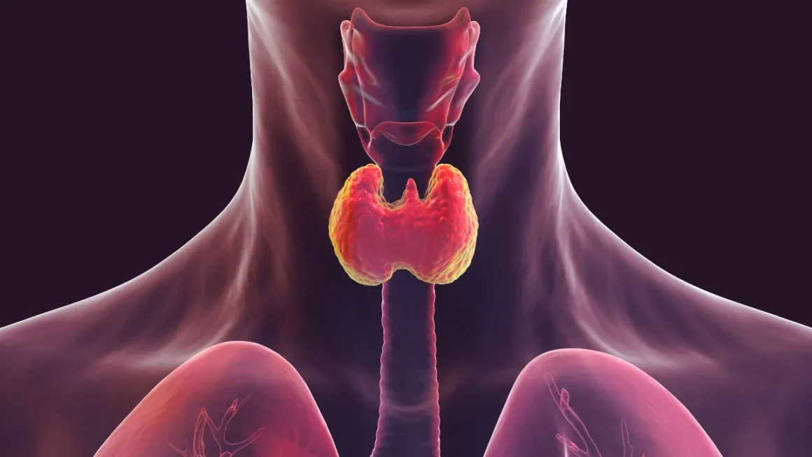 Thyroid Control Tips