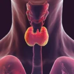 Thyroid Control Tips