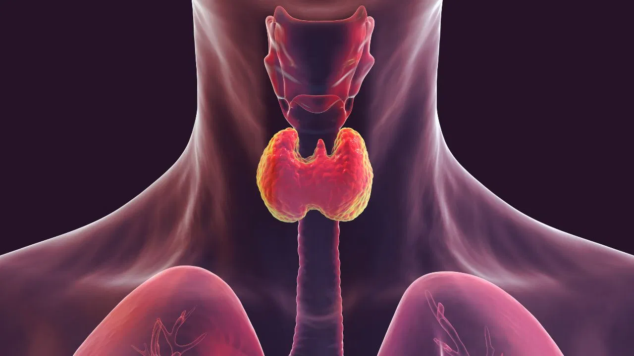 Thyroid Control Tips