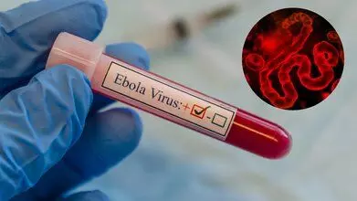 Ebola Outbreak Alert: अफ्रीका में इबोला का खतरा बढ़ा, भारत सरकार ने जारी की ट्रेवल एडवाइजरी