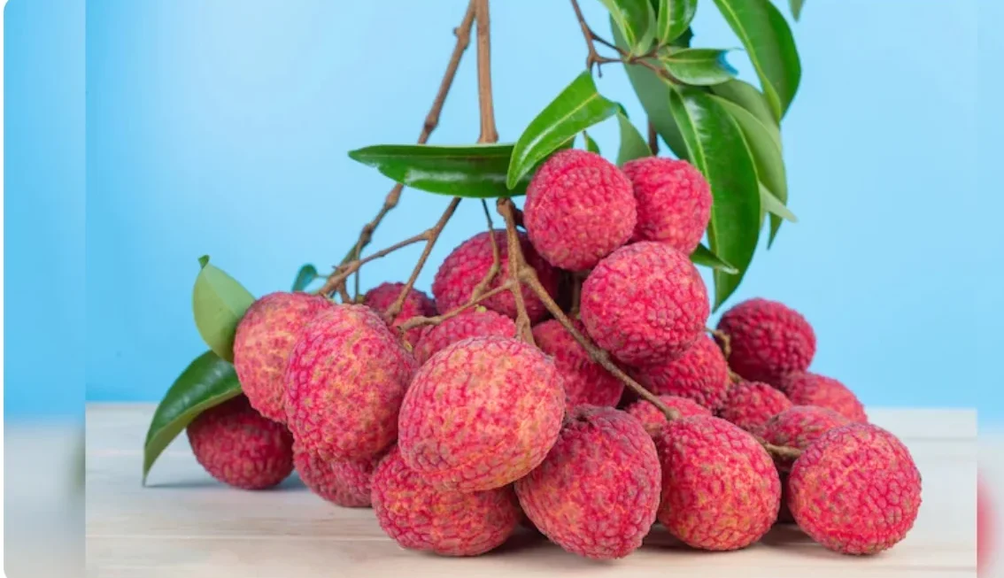 Litchi Benefits : गर्मियों में लीची खाने के फायदे जानें, लेकिन इन जरूरी सावधानियों को न भूलें