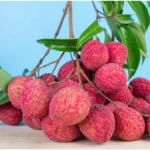 Litchi Benefits