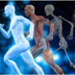 Strong Bones Diet