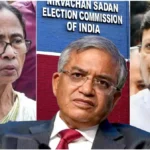 TMC News