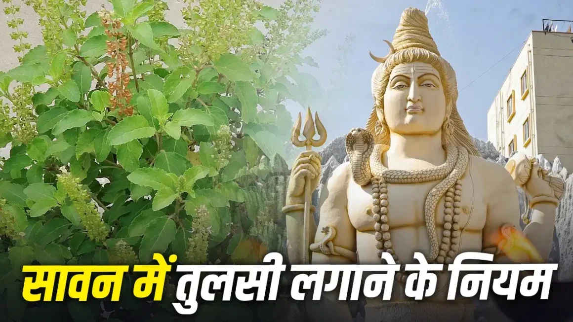 Sawan 2026: सावन में घर लाएं तुलसी, सुख-समृद्धि और सकारात्मक ऊर्जा का मिलेगा आशीर्वाद