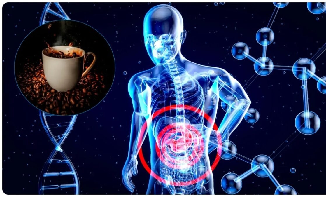 Morning Coffee Benefits