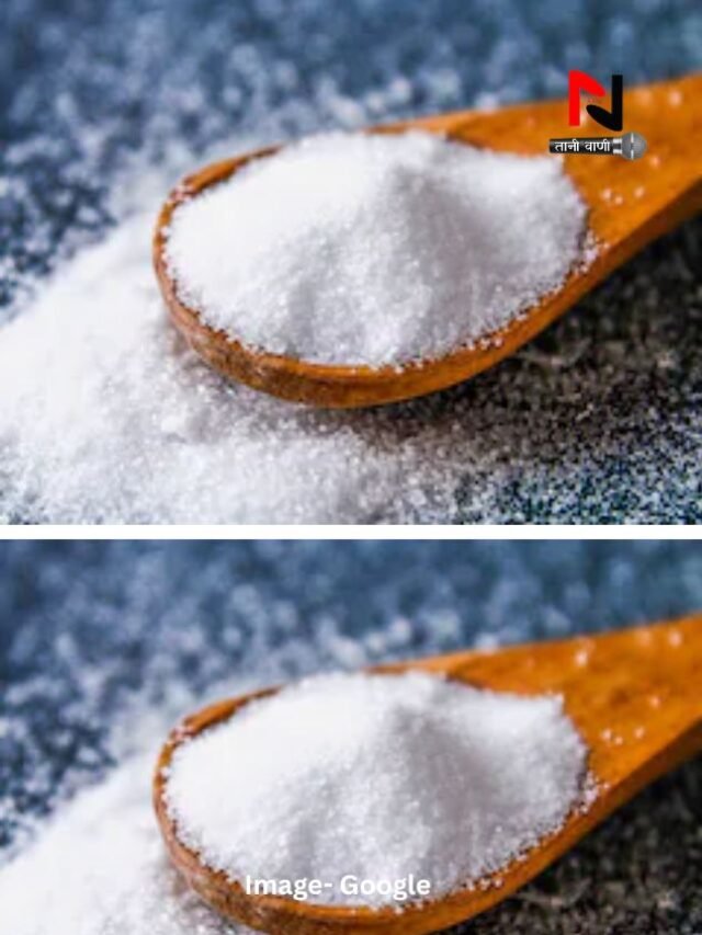 नमक बरसात में क्यों पकड़ लेता है नमी?