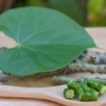 Giloy Benefits