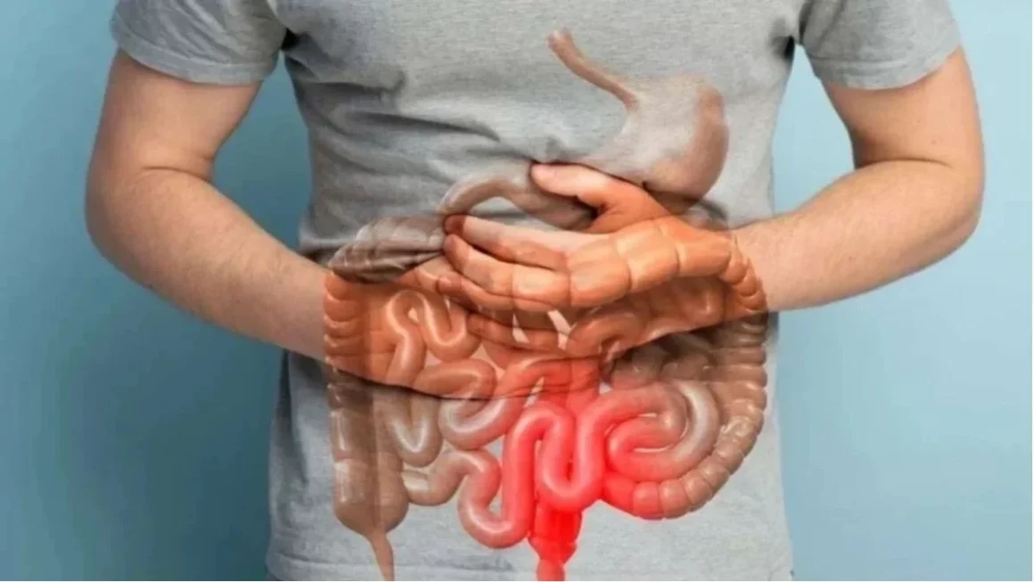 Sensitive Gut Foods: आपका गट है सेंसिटिव? डाइट में शामिल करें ये हेल्दी फूड्स, पाचन रहेगा बेहतर