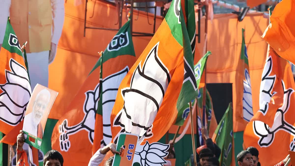 MLC Election