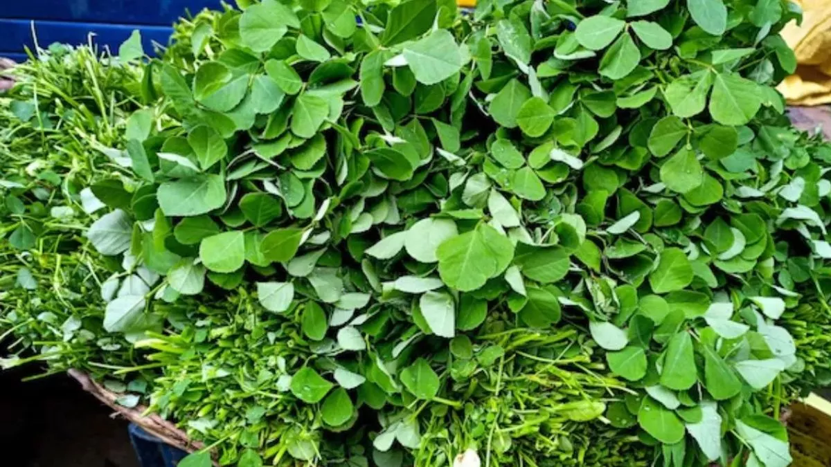 Methi Leaves Benefits