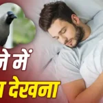 Crow in Dream