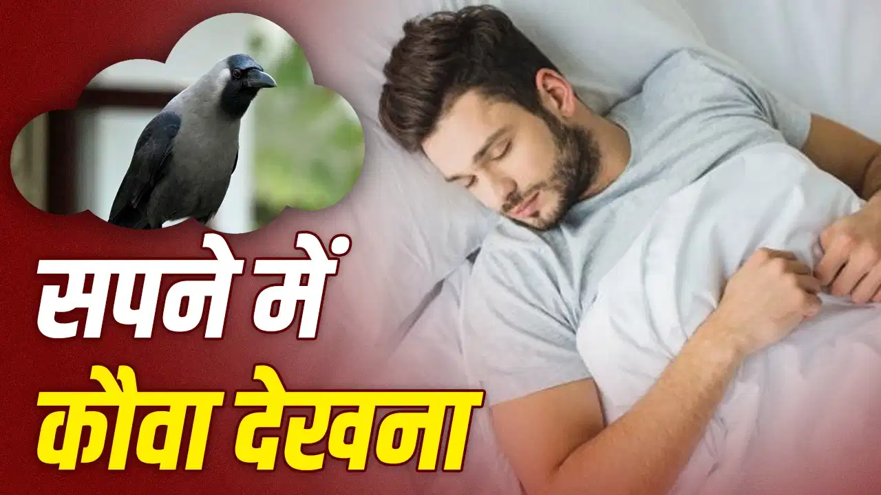 Crow in Dream