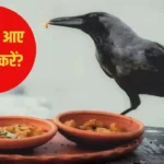 Pitru Paksha 2026